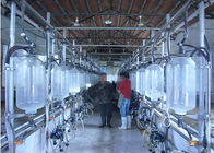 हॉट जस्ती डेयरी फार्म दूध मिलिंग हिंगबोन दुग्ध पौधों के साथ छप गार्ड