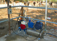 गायों / भेड़ बेल्ट सेनेटरी बाल्टी के साथ एल्यूमिनियम पोर्टेबल डॉकिंग मशीन