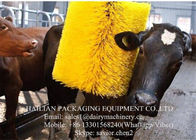 इलेक्ट्रिक मोटर डेयरी गाय स्क्रैचिंग ब्रश के लिए पशु बेस्ड, सफाई