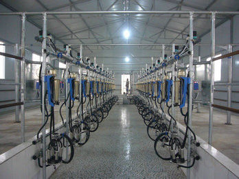 Chuangpu Animal Husbandry Technology (Suzhou) Co., Ltd. manufacturer production line