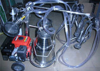 ट्रॉली प्रकार गैसोलीन इंजन पोर्टेबल गाय दूध देने की मशीन खेत के लिए