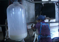 हॉट जस्ती डेयरी फार्म दूध मिलिंग हिंगबोन दुग्ध पौधों के साथ छप गार्ड