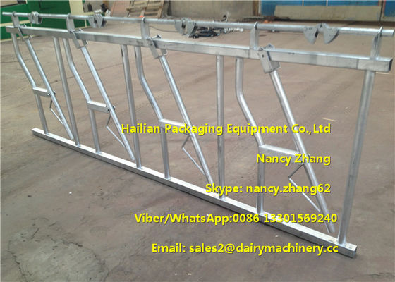 3mm Thickness Dairy Farms Cattle Headlock For Cows With 4 Dairy Cows ...